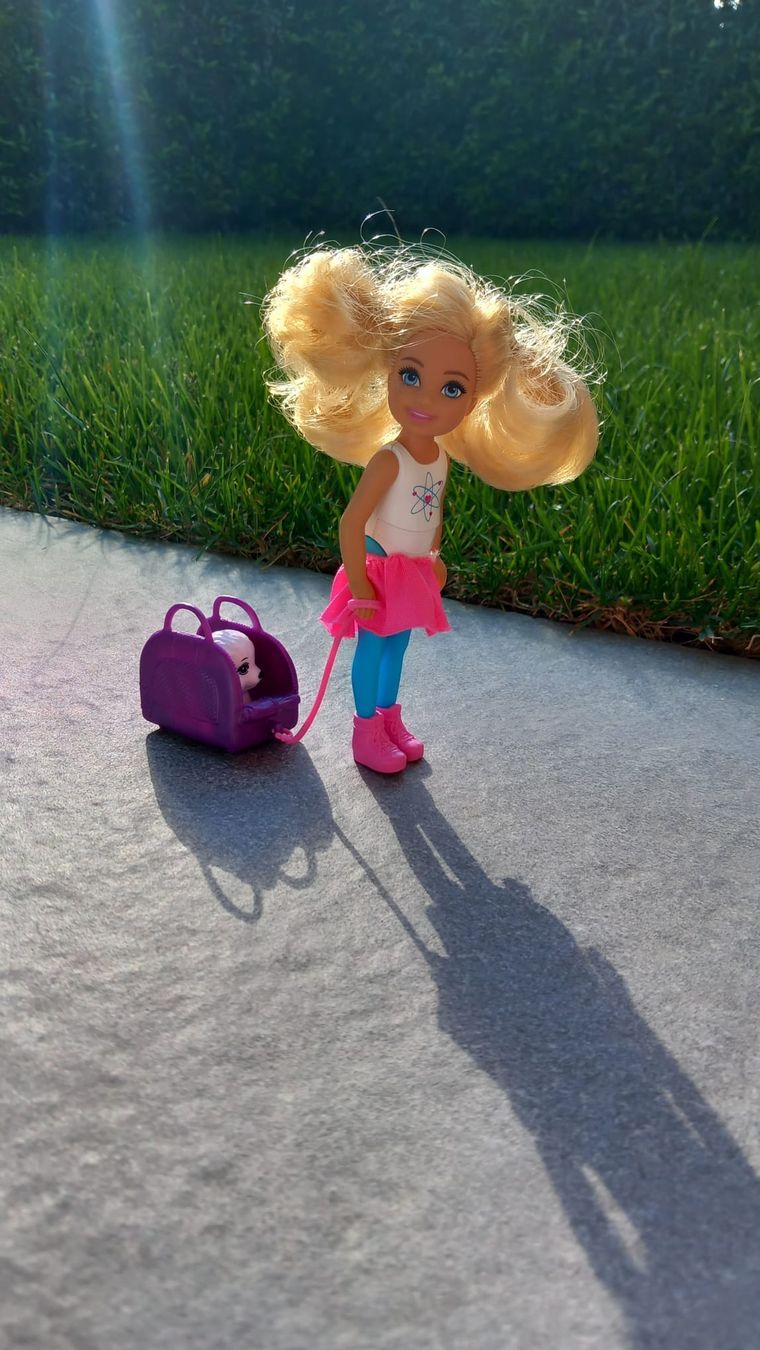 Jouets: Hunde sett Barbie – D'occasion à Bünzen par kalink 1