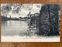 AK Bremgarten 1906