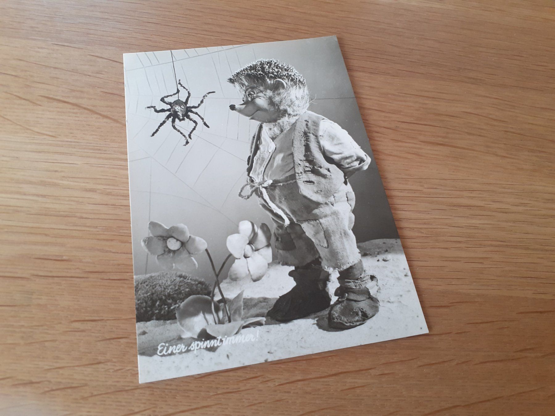 Cartoline postali: MECKI - EINER SPINNT IMMER ! – Usato da Winterthur venduto da Ornyx7