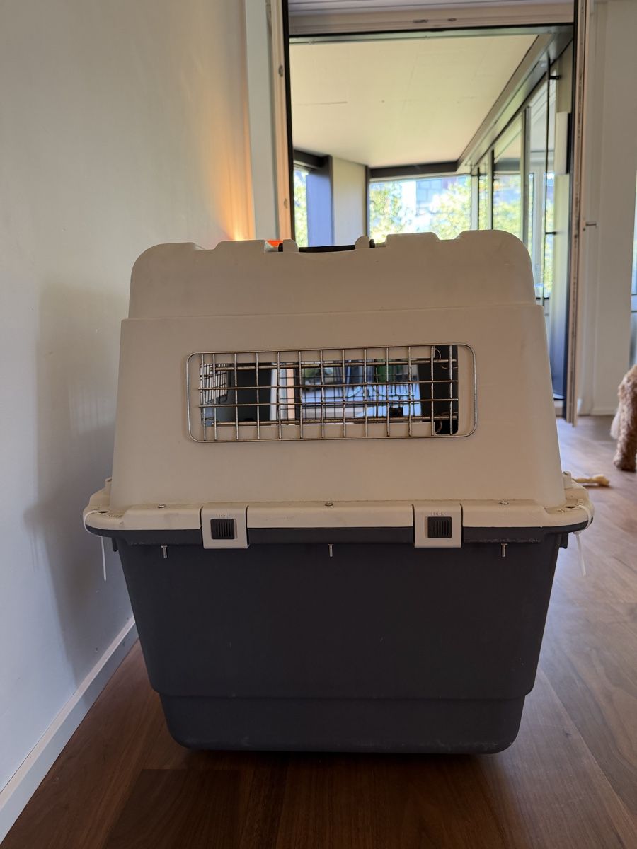 Autres décorations & accessoires: Hundebox – D'occasion à Zurich par cbauly 2