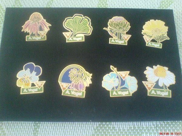 Placchette & Badge: 8x  A. Vogel Sonderedition Pins – Usato da Oftringen venduto da andrax
