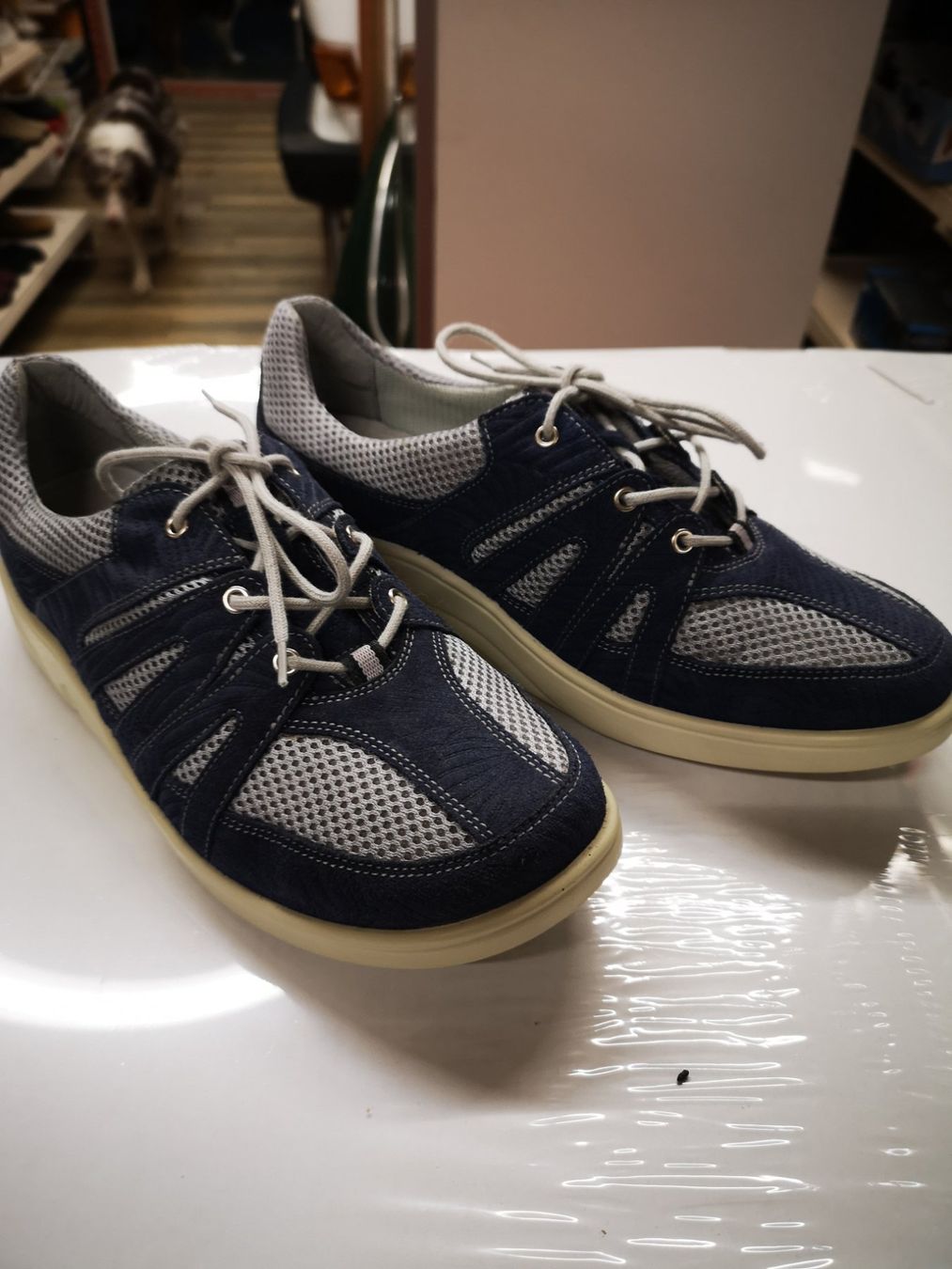 Scarpe da donna: Schuhe – Nuovo e nell'imballaggio originale da Möhlin venduto da Highwaytom