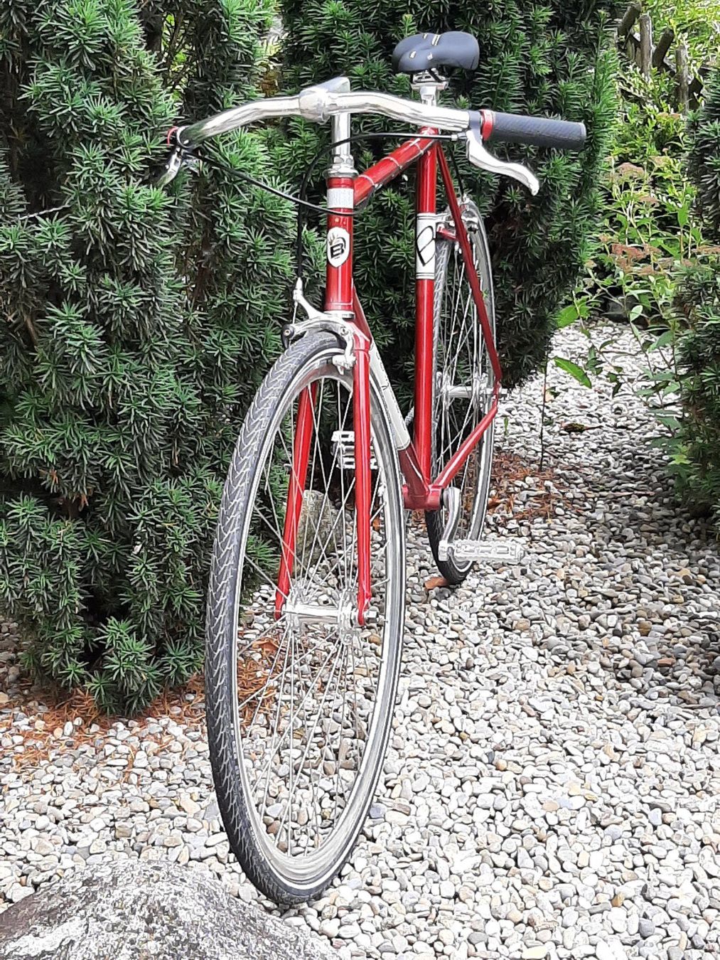 Bergamont Velos: Singlespeed / Fixie – Gebraucht aus Schwadernau von Henry04 1