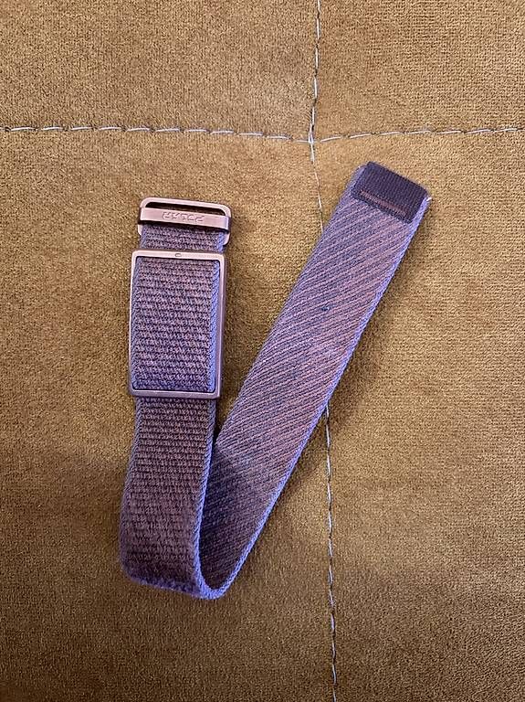 Bracelets: Polar Loop – D'occasion à Cham par den_6rd8 1