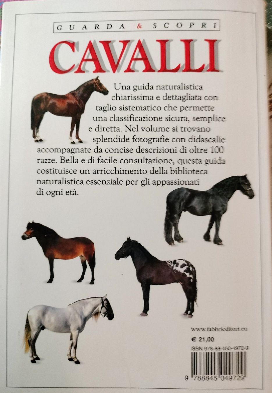 Libri: Libro sui Cavalli – Usato da Capolago venduto da sco_7ywt 1