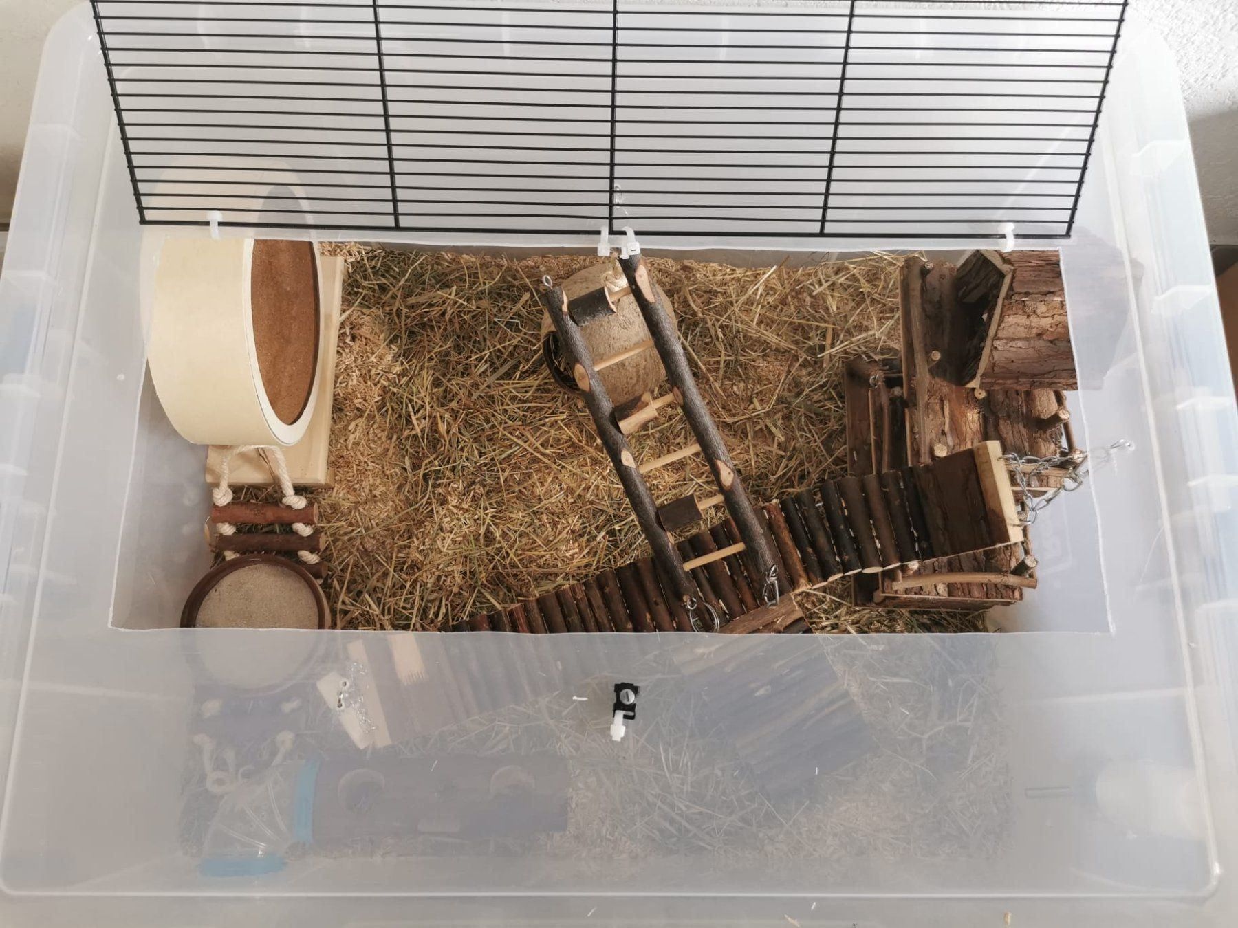 Gabbie, trasporto & Sicurezza: Cage rongeur fait maison + accessoires – Usato da Moutier venduto da Matteoleroux 3