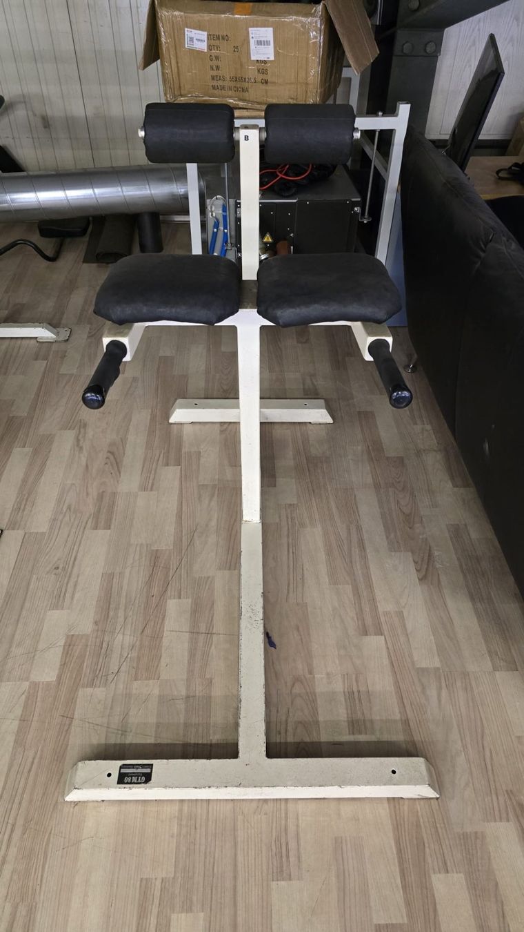 Gym80 Hometrainer: Rückentrainer – Usato da Bettlach venduto da Claudiomessmer