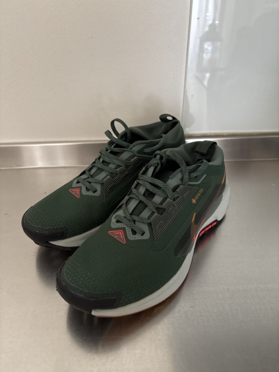 Herrenschuhe: Nike GoreTex – Neu und originalverpackt aus Muttenz von Stefan8