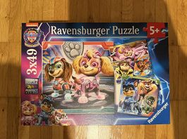 Ravensburger PAW Patrol Puzzle-Set  3x 49 Teile (Ab 5)