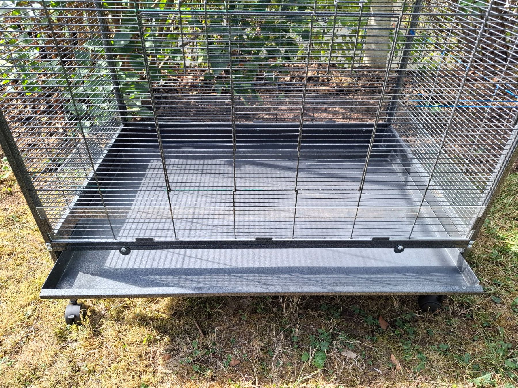 Gabbie, trasporto & Sicurezza: Vogelkäfig – Usato da Mönchaltorf venduto da rimo11 6
