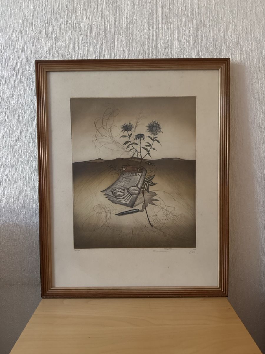 Arts picturaux & lithographies: Rüdiger Brassel Lithographie – D'occasion à Geneva par can_wpx2 2
