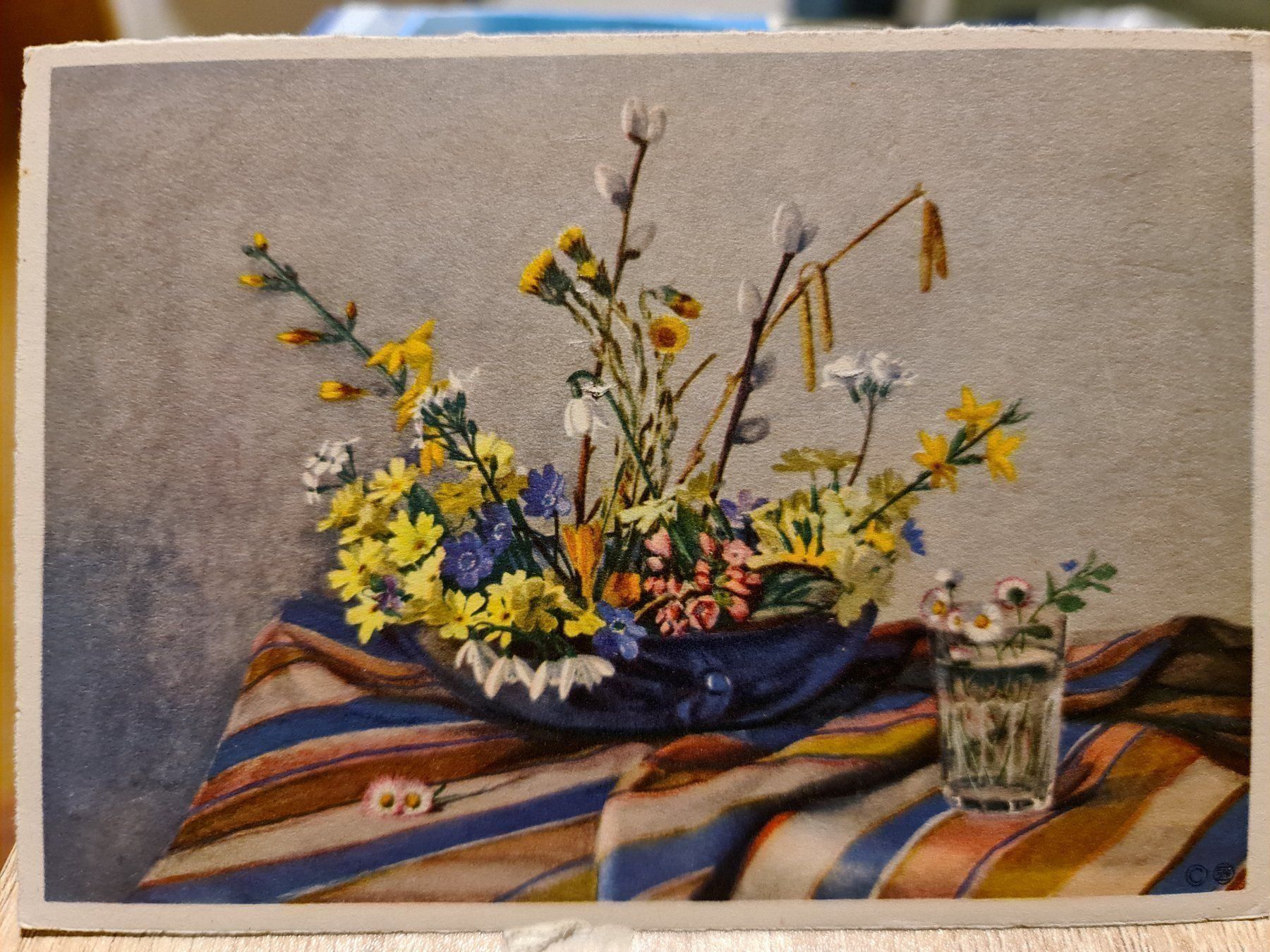 Cartoline postali: Ansichtskarte Blumen – Usato da Dintikon venduto da Vexi