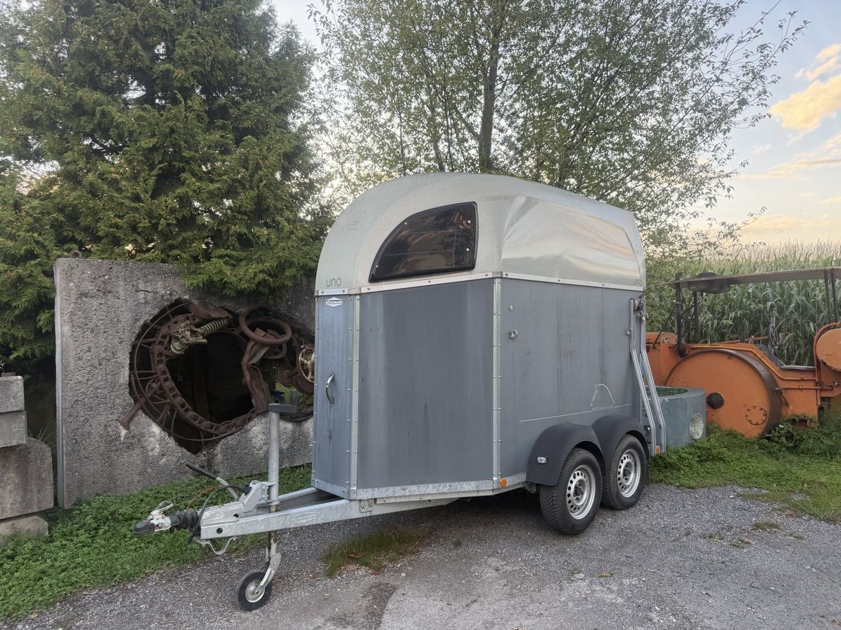 Böckmann Rimorchi: Böckmann Pferde-, Velo oder Motorrad Anhänger – Usato da Widnau venduto da Gasser_Auto