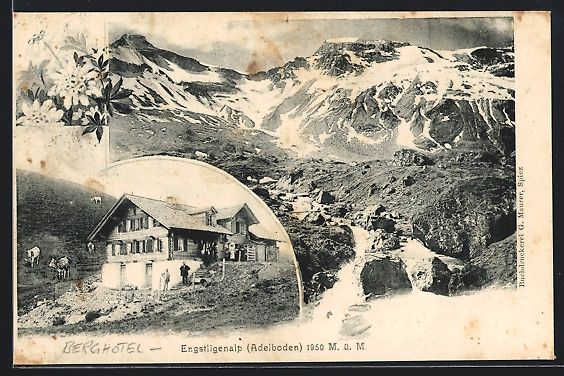 Cartoline postali: Engstligenalp / Adelboden, Panorama mit  – Usato da Berlin venduto da bartko-reher