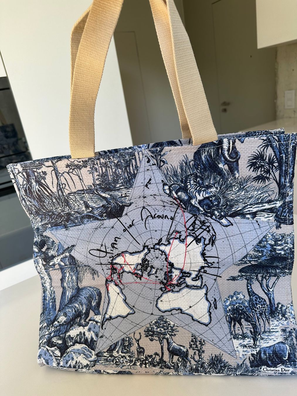 Dior Borse da donna: Dior Tote bag – Nuovo (secondo la descrizione) da Steinmaur venduto da regenbogen052