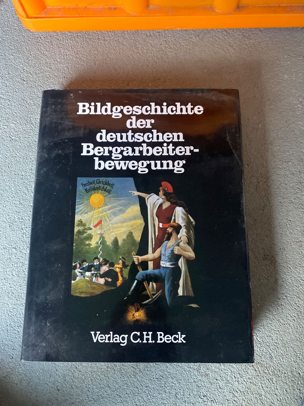 Libri: "Bildgeschichte der Bergarbeiterbewegung buch – Usato da Fürigen venduto da Barbi19