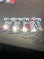 Panini Adrenalyn XL Jordan 10 Stück