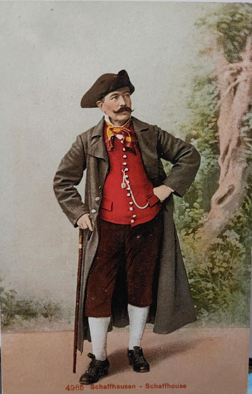 Cartoline postali: SCHAFFHAUSEN – Usato da Delémont venduto da Domdom1