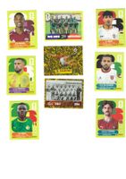 Panini WM 2026