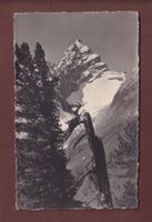 TINZENHORN bei Davos - 1926