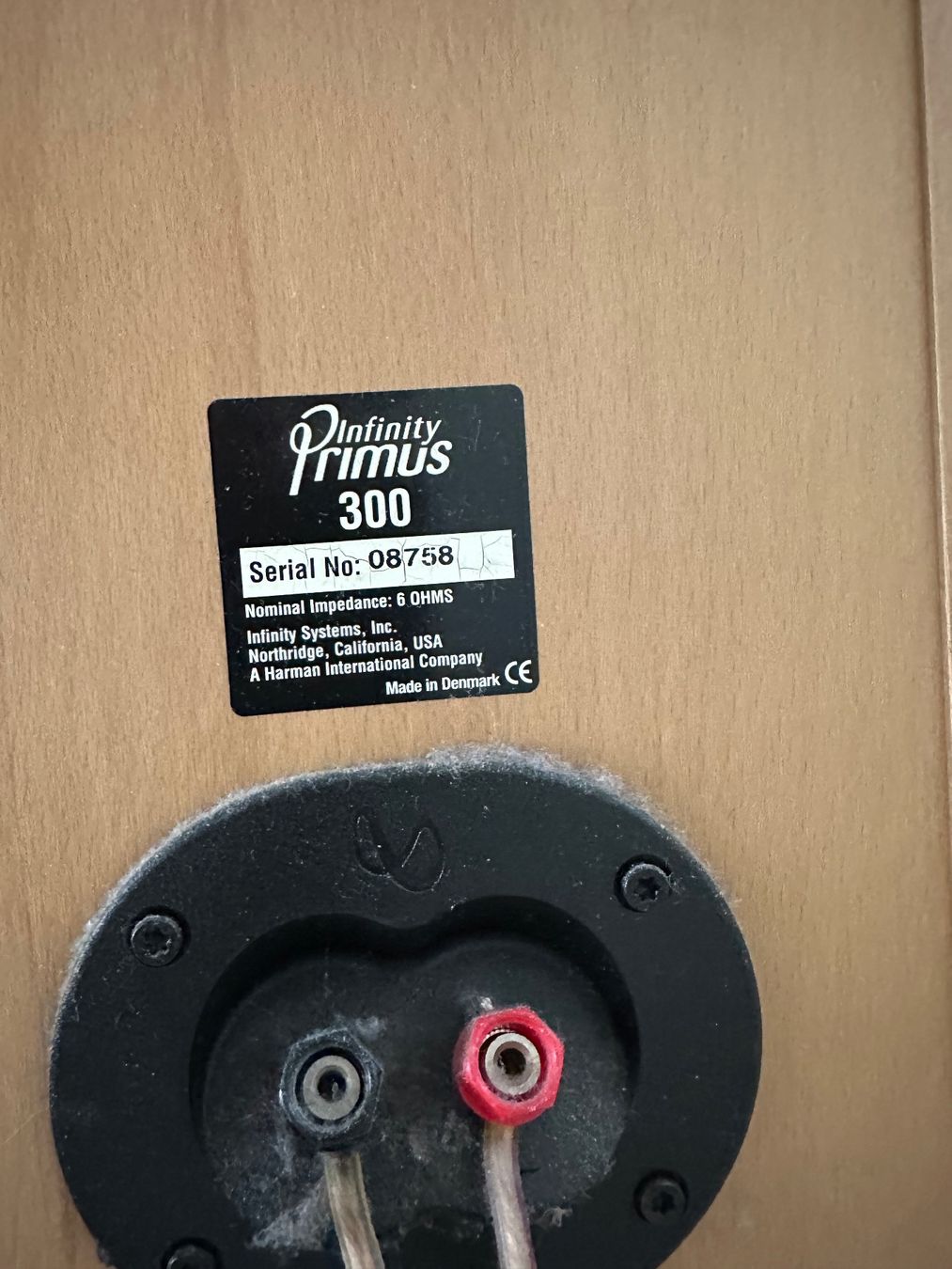 Infinity Casse acustiche: Standlautsprecher Infinity Primus 300 Holzoptik – Usato da Luzern venduto da Felicita_26 3