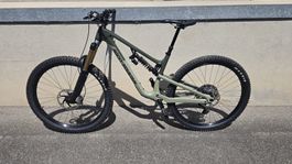 Rocky Mountain Altitude Carbon