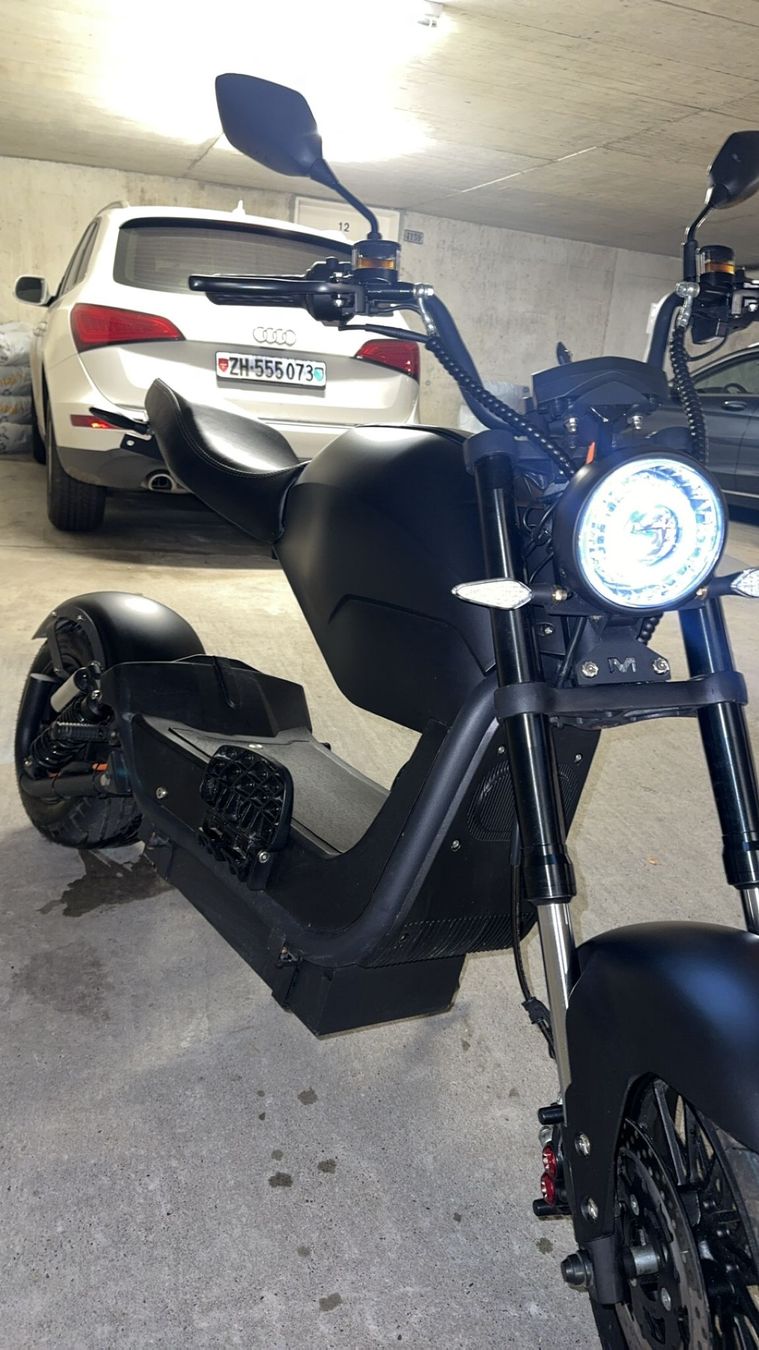 Züriflizzer Veicoli elettrici: Züriflizzer City Max RS Pro – Usato da Winterthur venduto da Godummu