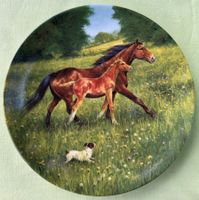 Porzelanteller von Donna Crawshaw