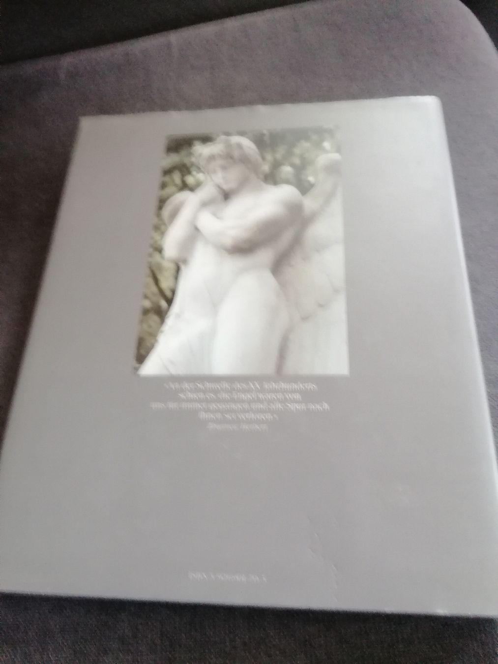 Libri: Aus Licht und Schatten Engel Bilder von Isolde Ohlbaum  – Usato da Brittnau venduto da Elefant7 1