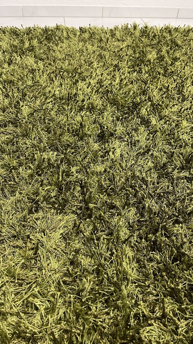 Tappeti: Schöner Wohnen Teppich 140x140cm, Grün – Usato da Gebertingen venduto da AP2323 1