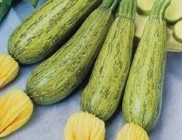 Piante & sementi: 10 Bio- Zucchetti sarzano – Nuovo e nell'imballaggio originale da Huttwil venduto da Groempix 2