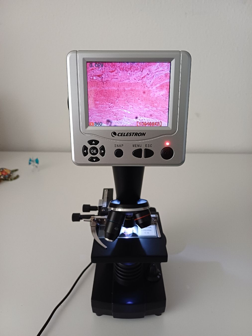Celestron Mikroskopie: Microscope avec écran numérique – Neu (gemäss Beschreibung) aus Trélex von almet_07