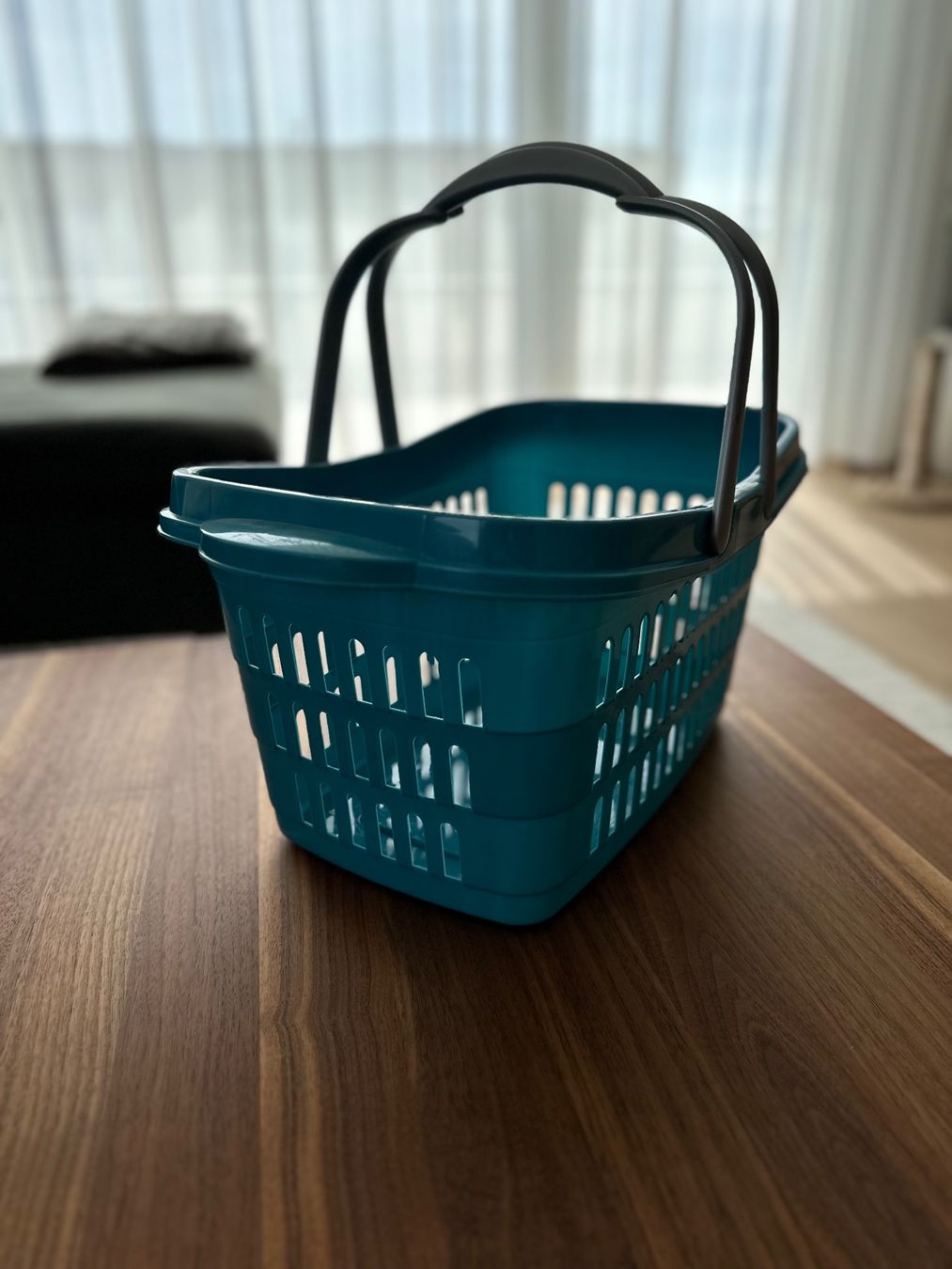 Altro per la casa: Einkaufskorb - Easy Home - Kunststoff – Usato da Märstetten venduto da fab_wf2v 2