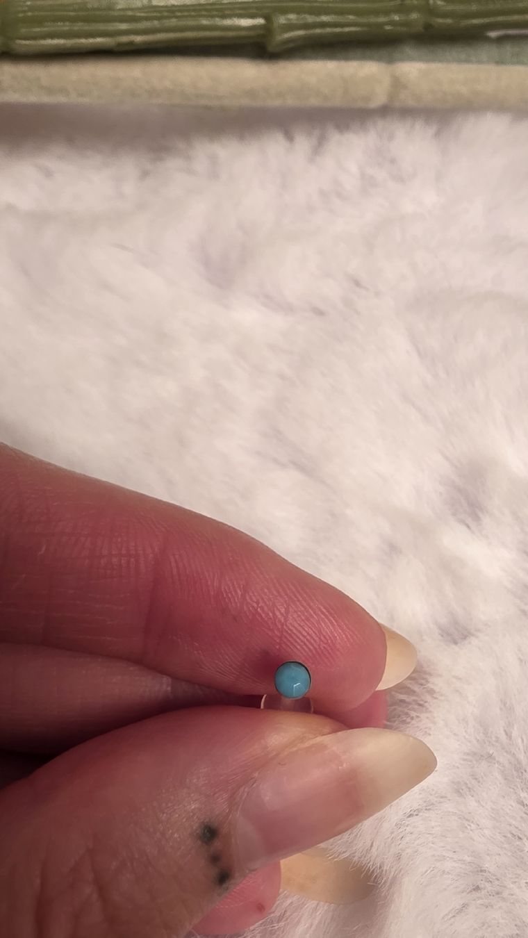 Gioielli per piercing: 4x Steckerpiercing – Nuovo (secondo la descrizione) da Widen venduto da kev_f5vk 4