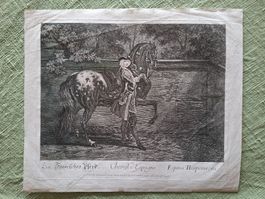 RIDINGER  CHEVAL D'ESPAGNE