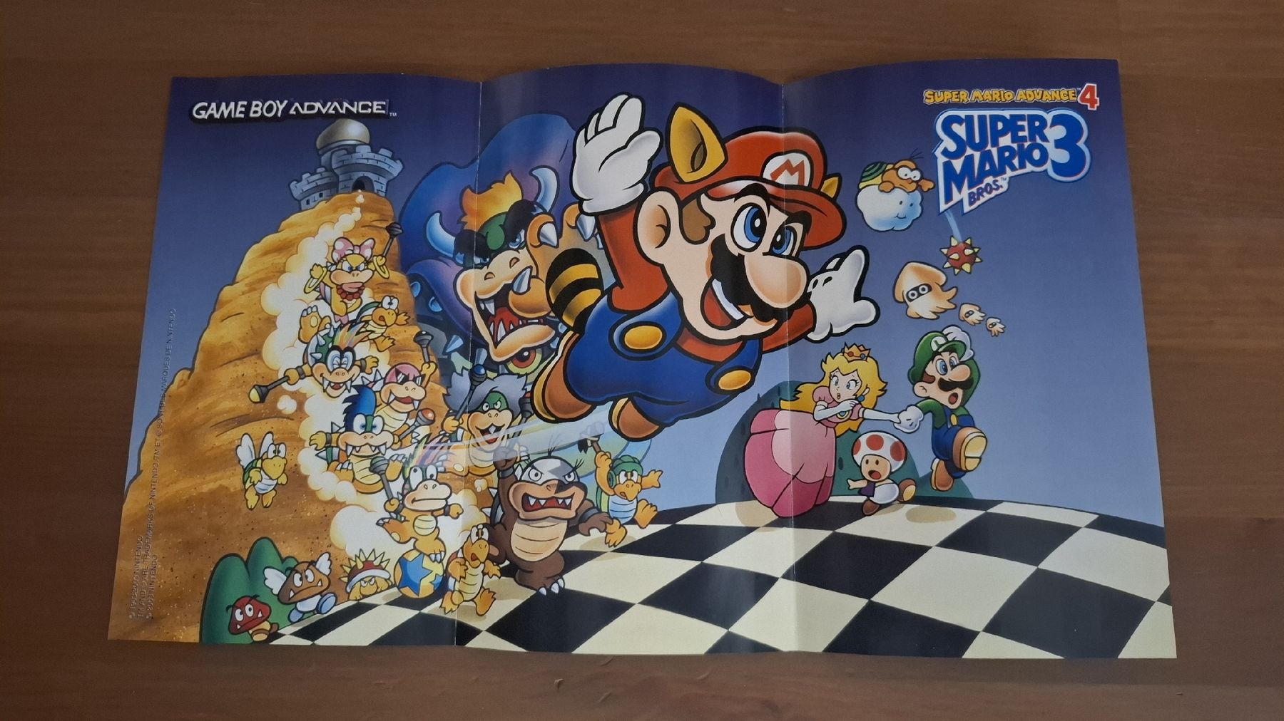 Posters & Illustrations: dépliant / poster Nintendo GameCube  – D'occasion à Fiaugères par Fiaugeres1609 1