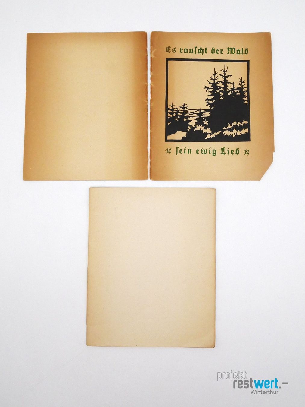 Libri: E. SCHAUFF - Es rauscht der Wald sein ewig Lied – Usato da Winterthur venduto da Restwert_Winterthur 1