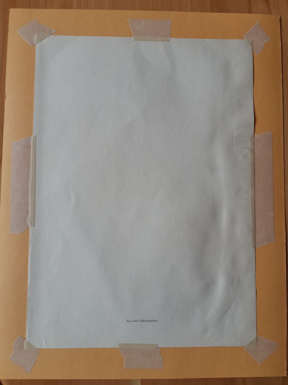 Grafica & Litografie: Nr. 16 original Litho Nebelspalter – Usato da Grindelwald venduto da carro5 4