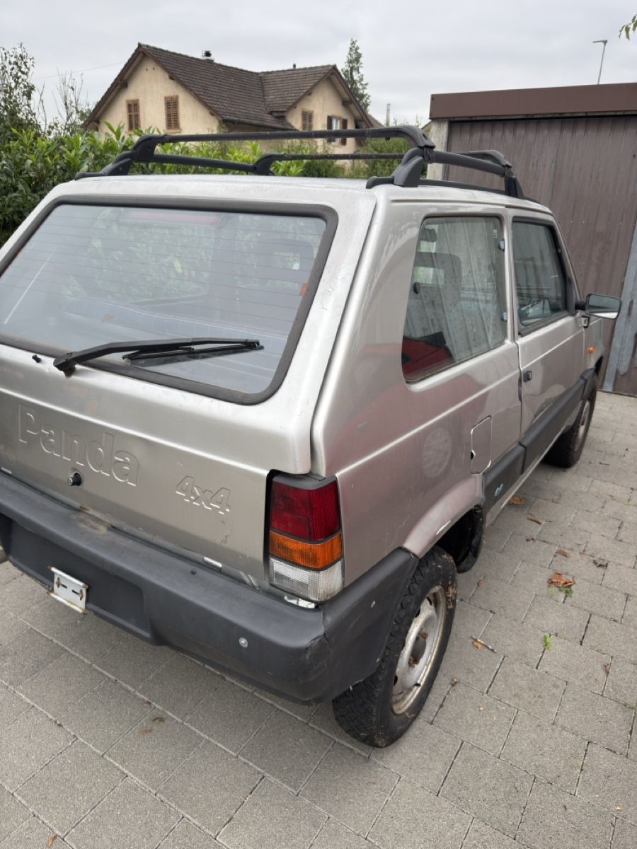 Fiat Autos: Fiat Panda 4x4 – Gebraucht aus Rombach von Ablager 2