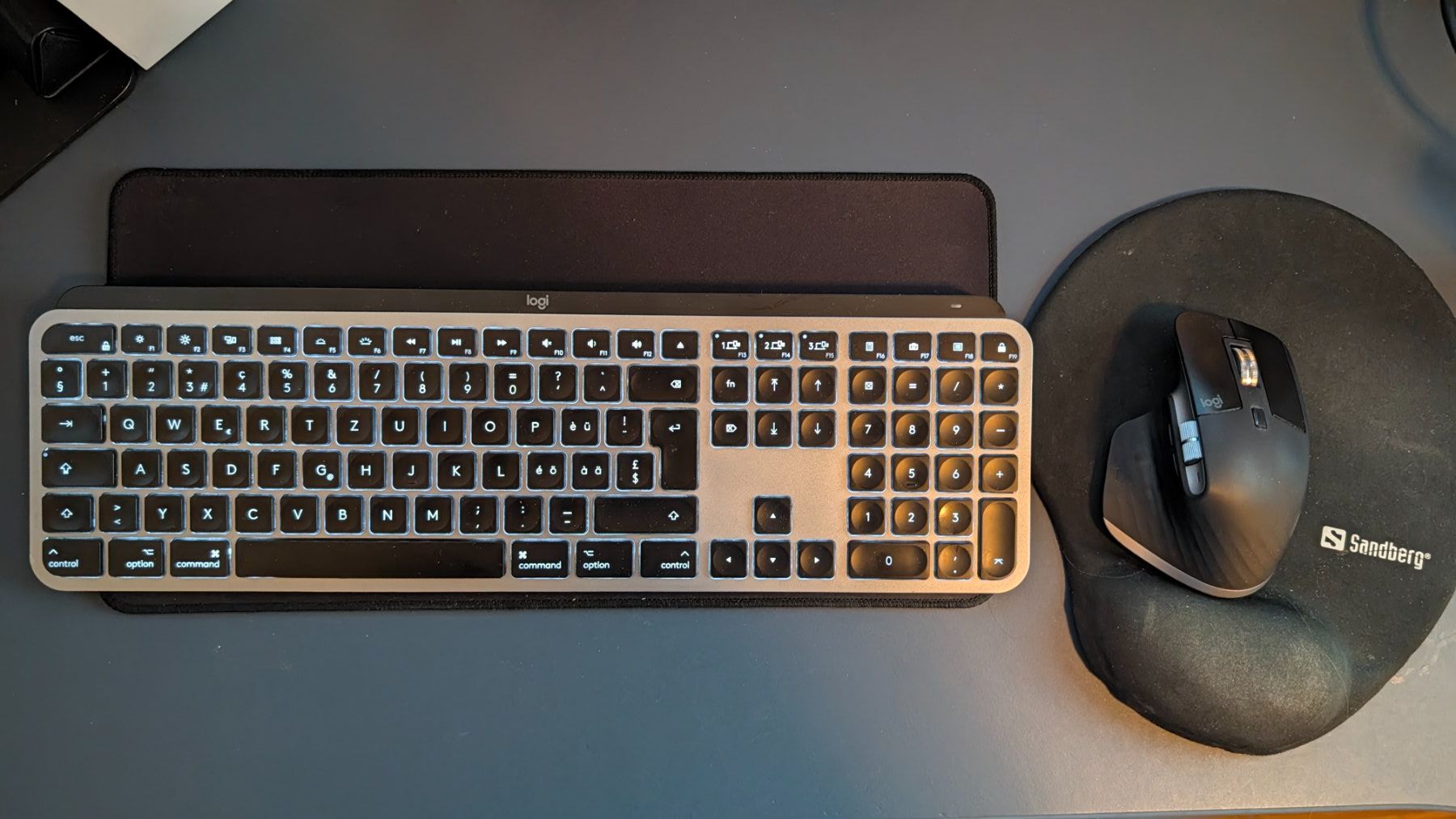 Logitech Tastiere: Logitech MX Keys for Mac and MX Master 3S bundle – Usato da Uster venduto da Pierre1969 1