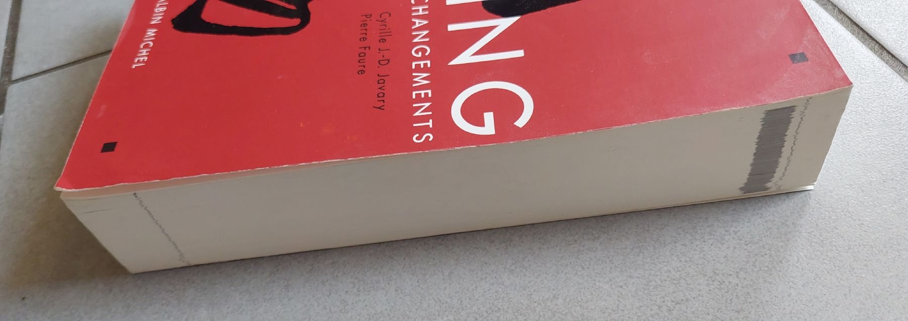 Libri: Livre complet "YI JING" – Nuovo e nell'imballaggio originale da Plan-Les-Ouates venduto da Lolothebest 2