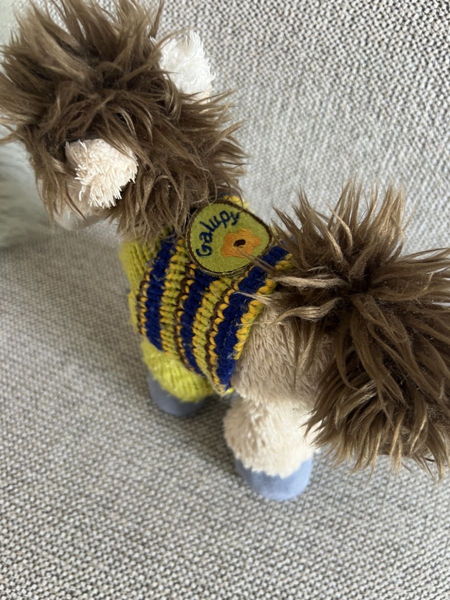 Jouets: Plüschpferd Galupy Diddl mit gestricktem Pullover  – D'occasion à St. Gallen par jil_d5rh 1