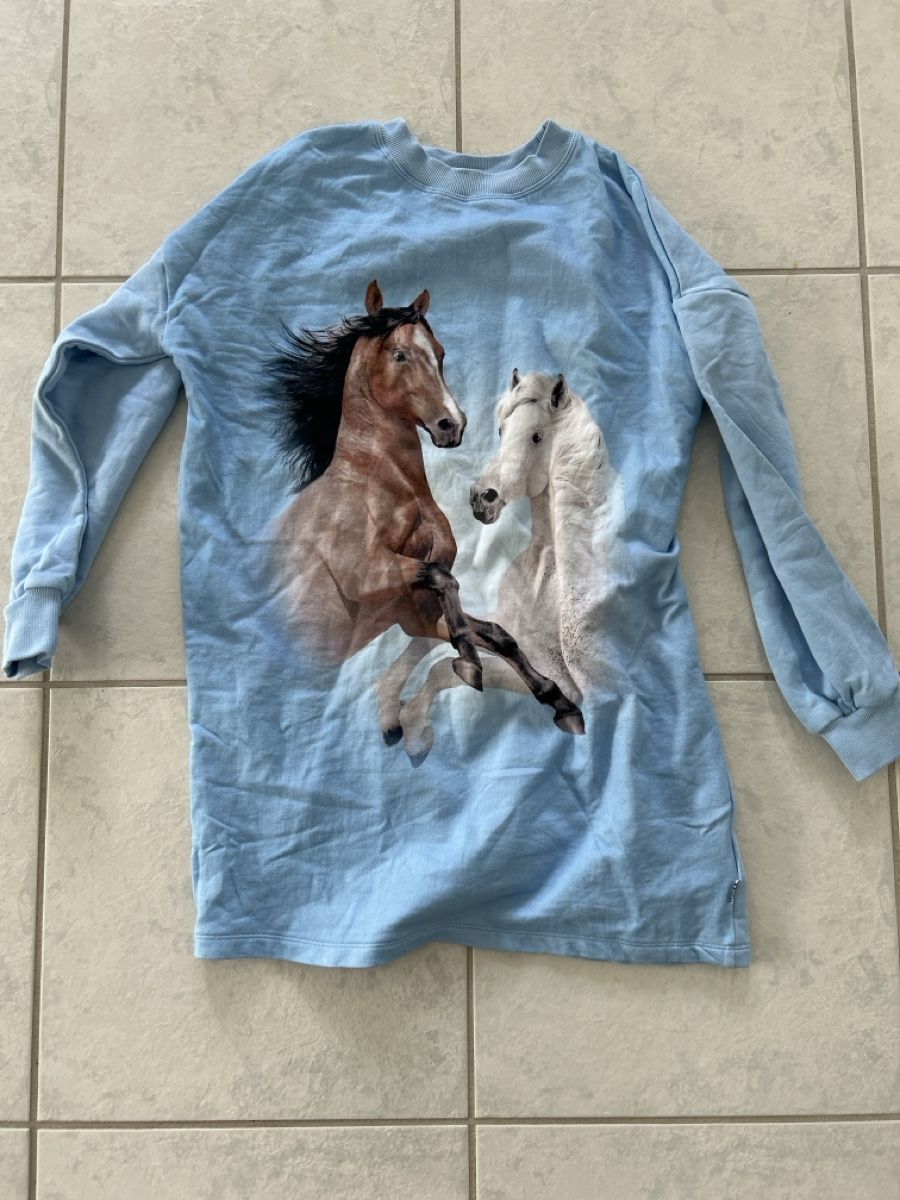Maglioni & Felpe: Longpullover Gr 146/152 – Nuovo (secondo la descrizione) da Lostorf venduto da Venice16