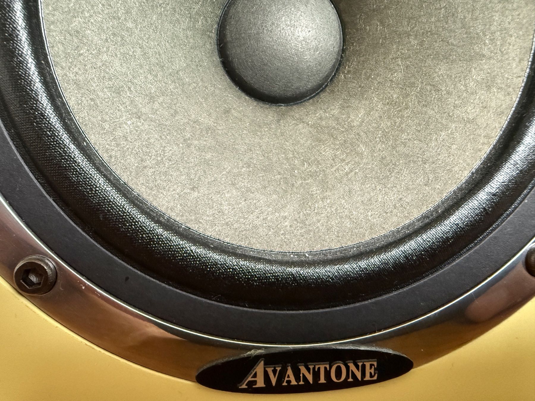 Casse acustiche: Avantone Active MixCube – Usato da Langenthal venduto da fotobri 4