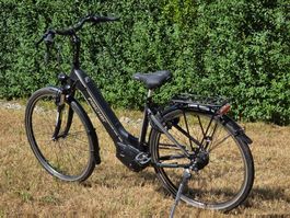 E-City Bike 25km/h FISCHER CITA 5.0i - wie neu