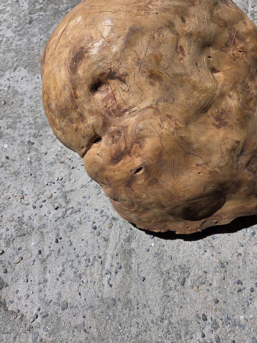 Holzartikel: Olive Holzknolle, Wurzelholz, ca. 40cm Durchmesser – Neu und originalverpackt aus Bottmingen von Mastro-Holzdesign 5