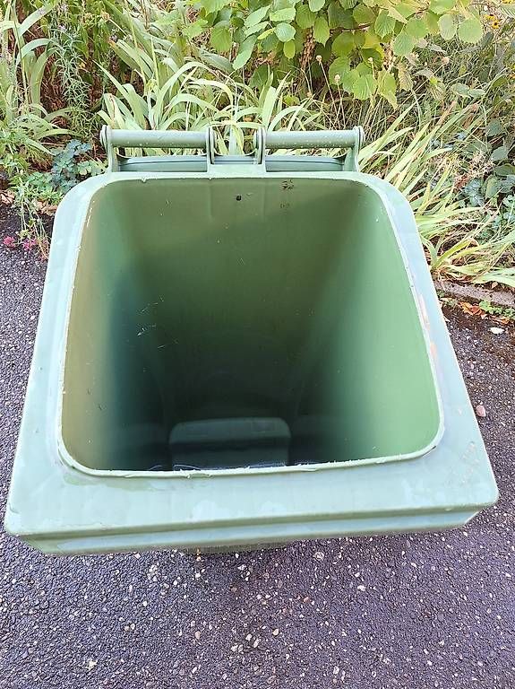 Altro: Grüngutcontainer – Usato da Olten venduto da Zorica_7 2