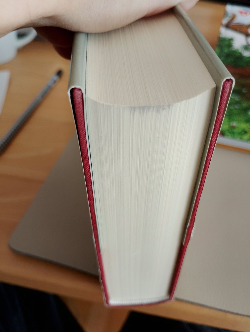Libri: Die unendliche Geschichte - Michael Ende Buch – Usato da Ehrendingen venduto da 2Guagua2 1