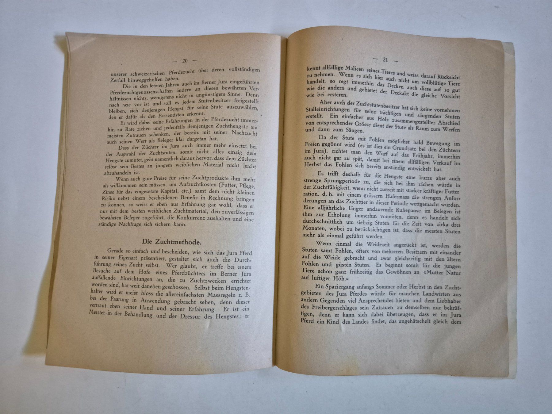 Libri: Das Freiberger oder Jura Pferd Monographie von Fr. Zumste... – Usato da Langendorf venduto da zvonu161 6