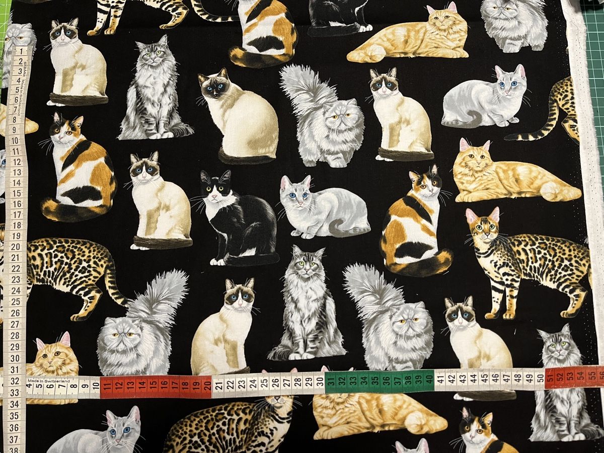 Tessuti: Patchworkstoffe Katzen – Nuovo (secondo la descrizione) da Seuzach venduto da KreativmitStoff